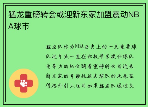 猛龙重磅转会或迎新东家加盟震动NBA球市